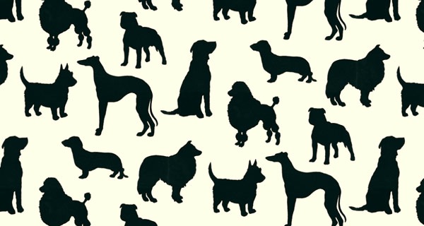dog-wallpaper.jpg